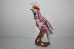 Swarovski Cristalo Crystal Paradise Pappagallo Cacatua Cockatoo 718565 Ebay