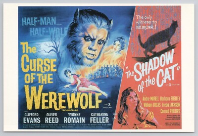 The Curse Of The Werewolf / Shadow Of The Cat 1951 Film - Movie Poster Postcard