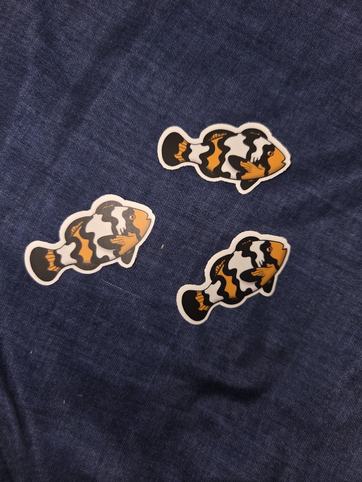 Hand Drawn Snowflake Clownfish Art Vinyl Sticker For Laptop Water Bottle
