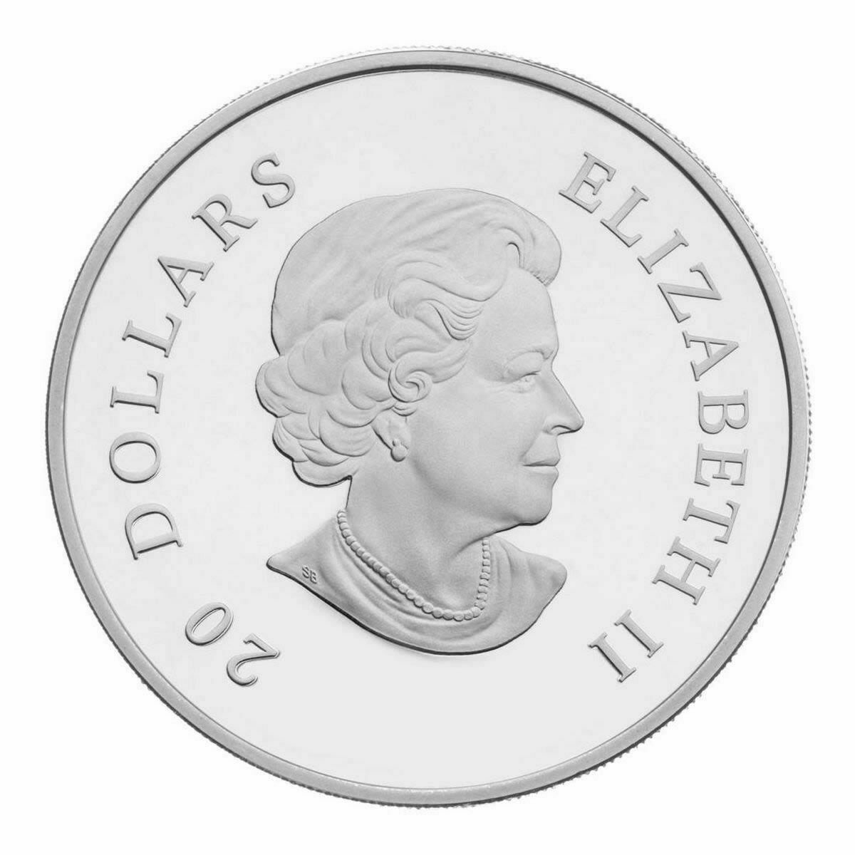 Canada 2010 CRYSTAL SNOWFLAKE $20 1 Oz Silver Holiday Prf w