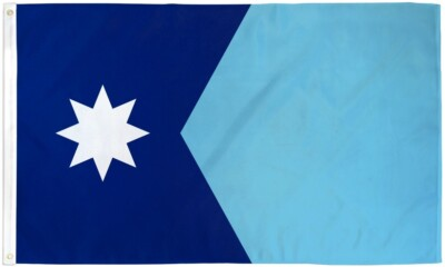 #ad Minnesota Flag 3x5ft House Flag New US State Flag MN Flag $10.95