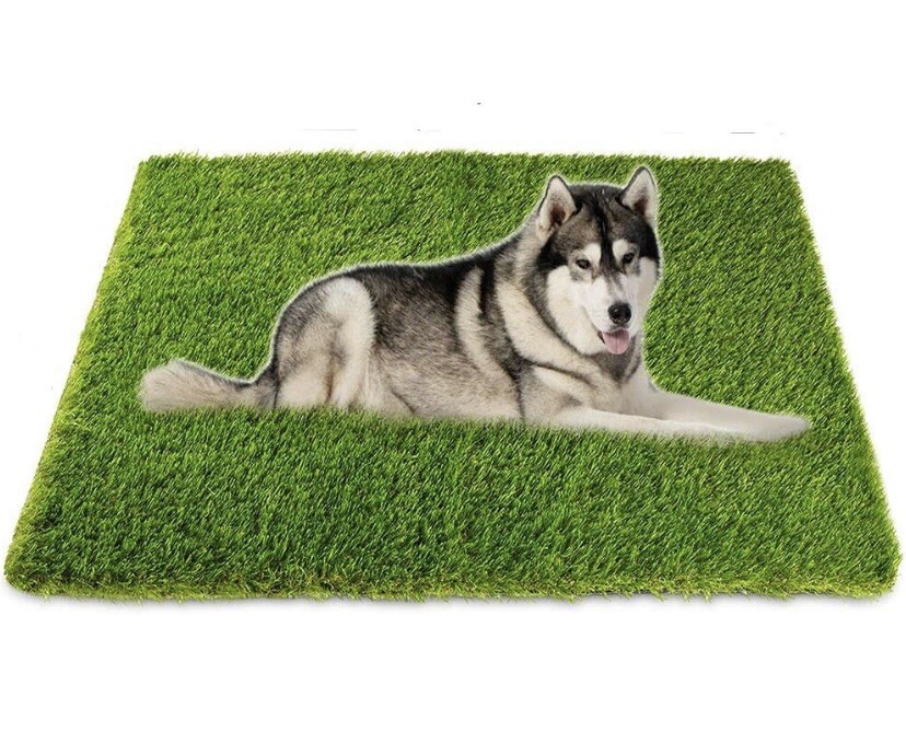 dog restroom mat