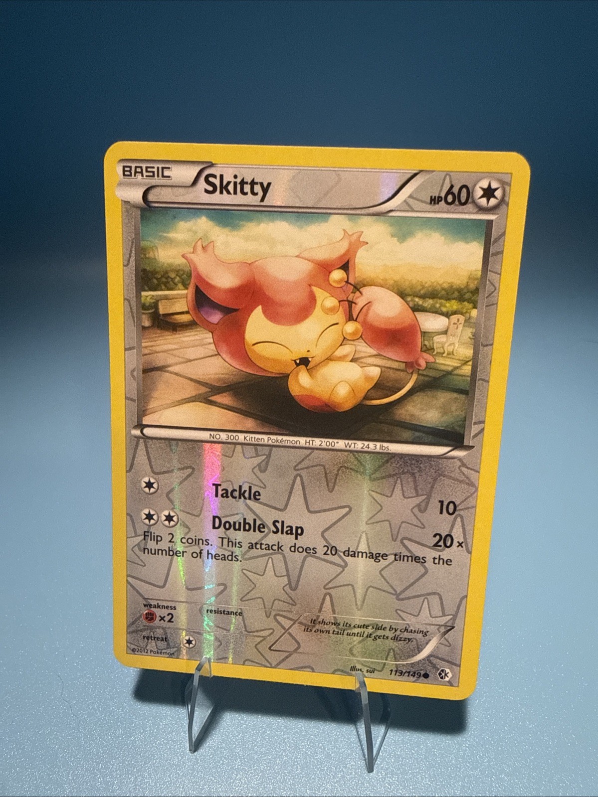 Skitty 113/149 Common Reverse Holo Pokemon Card Boundaries Crossed LP