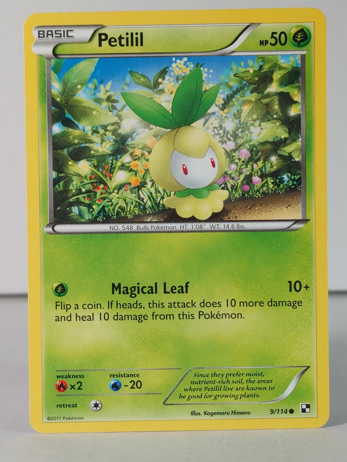 Petilil - Black & White base set #9 - Pokemon - NM -D