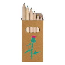 6 x 'Thistle ' Short 85mm Pencils / Coloured Pencil Set PE00053272 