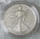 2011 1 Oz Silver American Eagle $1 BU 0.999 Fine Bullion Coin in Capsule