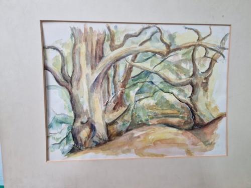 Job lot of 15 Watercolour Paintings of Trees by the Artist Hillary Proctor - Foto 4 di 16