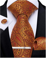 Paisley Ties for Men Silk Necktie and Pocket Square Cufflinks Tie Clip Set Woven