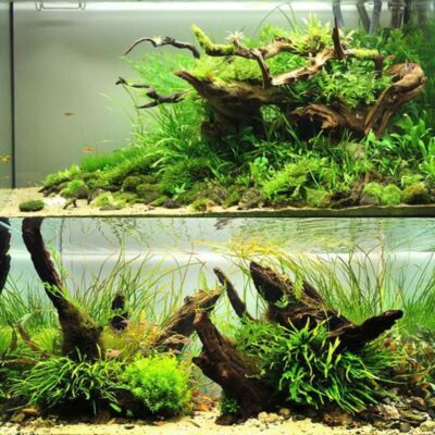 Natural Aquarium Sinkable Driftwood Fish Tank Branches Decors
