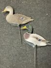16" Sportplast Mallard Duck Field Decoy Lot