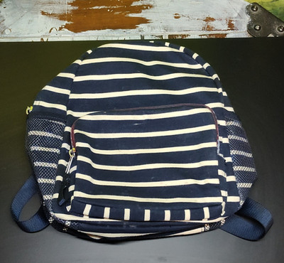 Women's Blue White Striped Backpack Zip, Adj Strap, Outer Pockets Fabric