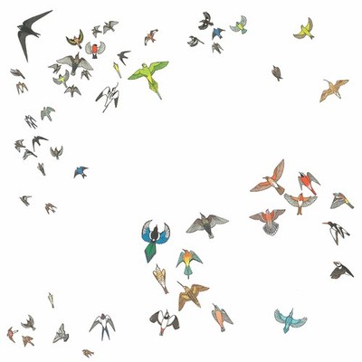 Modern Nature No Fixed Point In Space CD NEW