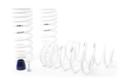 H&R Race Springs for 1988-1995 Ford Mustang and Cobra V8   Fits Performance