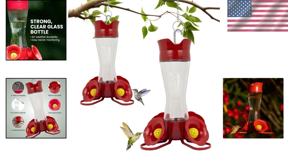 Alimentadores colgantes para colibríes - Dos elegantes comederos de vidrio con foso de hormigas y perchas Foto 2 de 4