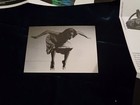 Foto 10 di 12