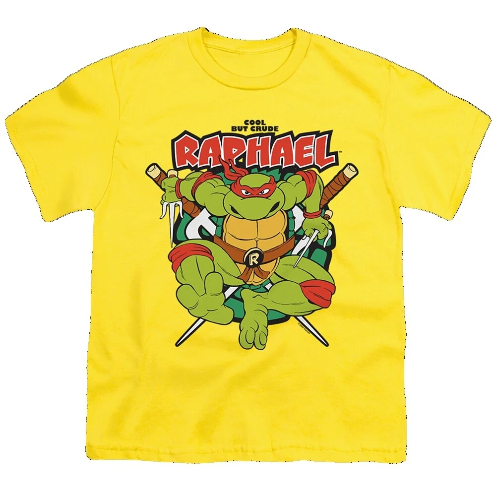 Figuras de acción de Raphael y accesorios