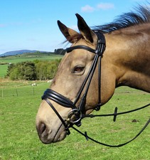 FSS Anatomical ROLLED Bridle