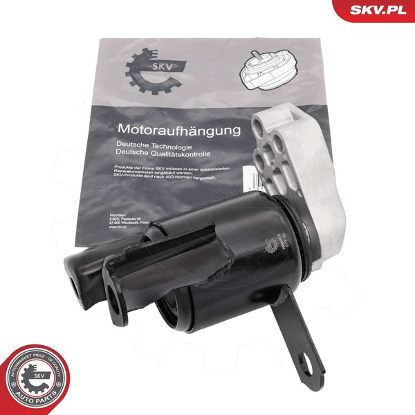 Esen SKV Lagerung, Motor 75SKV012 FüR Ford-image
