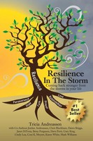 Tricia Andreassen | Resilience In The Storm | Taschenbuch | Englisch (2016)
