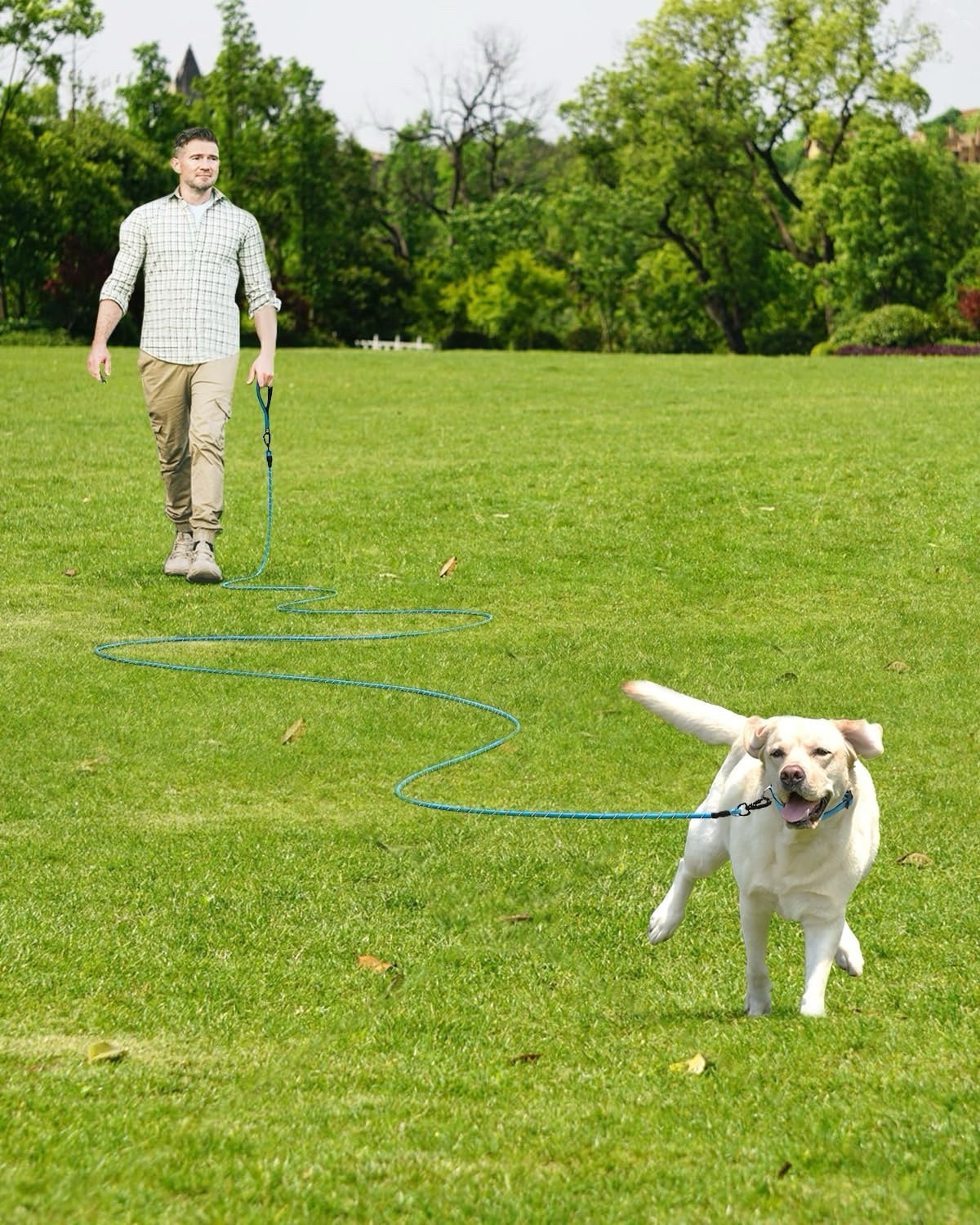 Long Leash for Dog with Removable Padded Handle For Large Medium Dogs 50ft Blue