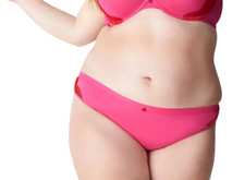 Cacique New With Tags Pink Cotton Thong With Lace Trim Size 22-24W 2-2X