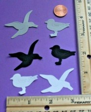   20 SEA BIRDS cardstock paper die cut embellishment scrapbook / card making