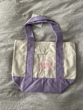 Trader Joe's Mini Canvas Tote Bag - Pastel Green - SHIPS SAME DAY