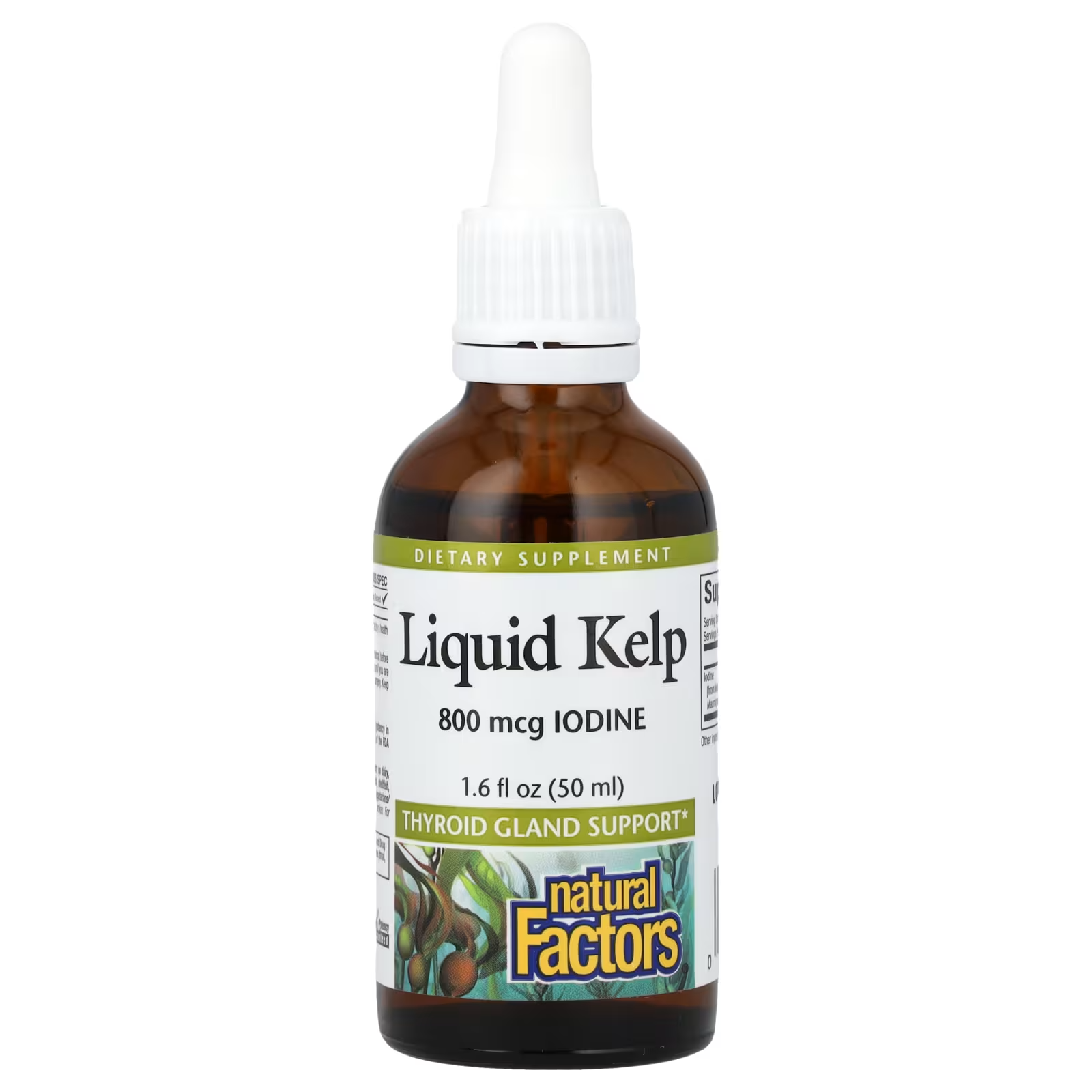 Natural Factors , Liquid Kelp, 800 Mcg, 1.6 Fl Oz (50 Ml) - Image 3