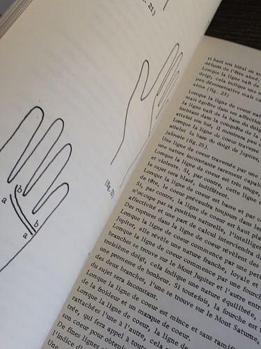 Christofle Silver Plate Palm Reading Hand Lines Lignes de la Main Book & Package - Bild 9 von 13