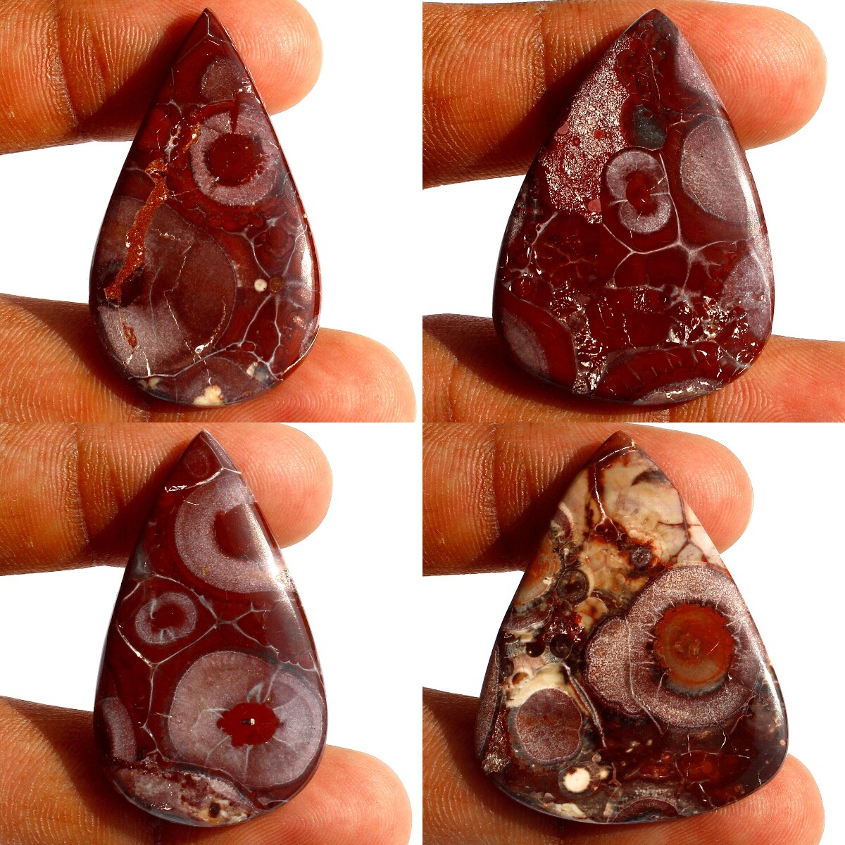 4 Pcs Natural Bird Eye Jasper Collectible Teardrop Reiki Crystals