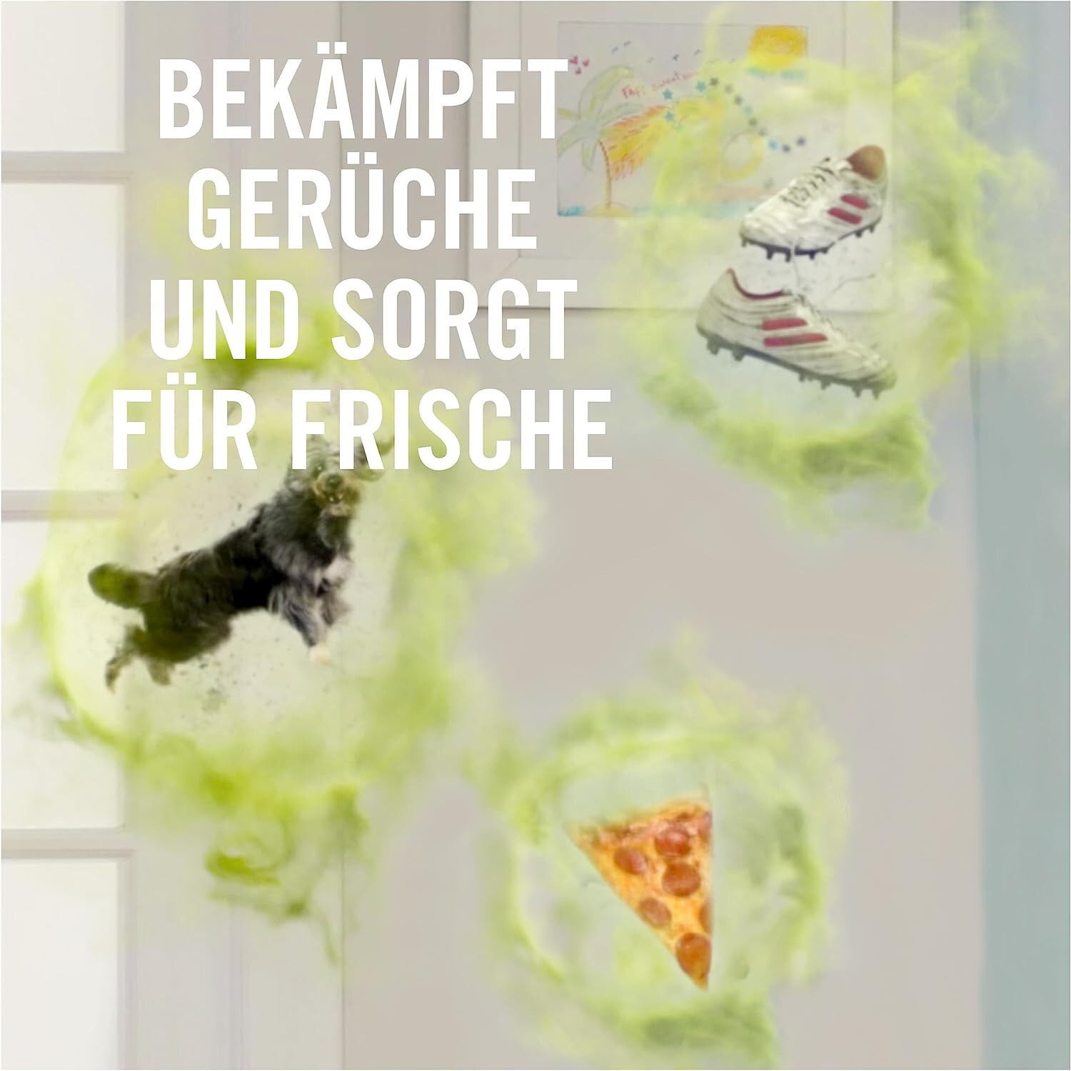Bild 10 von 10