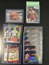 Brock Lesnar - UFC - MMA - 23 Card Lot - Topps - Panini - Parallel
