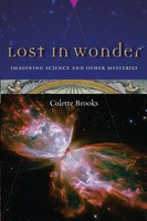 Colette Brooks | Lost In Wonder | Taschenbuch | Englisch (2010) | Catapult