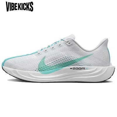 Nike Pegasus Plus 'Pure Platinum Dusty Cactus' FQ7262-004 Men New