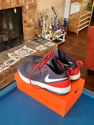 Size 14 - Nike Air Zoom Pegasus 38 x NFL Houston Texans 2021