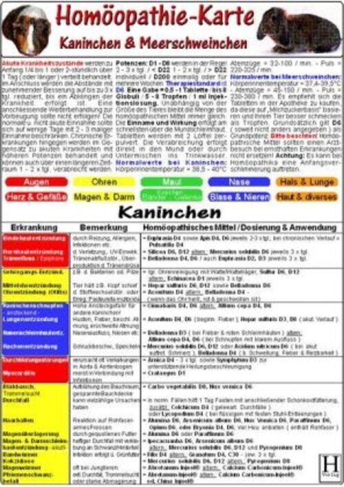 Homöopathie Für Kaninchen & Meerschweinchen, Tierheilkunde-karte |