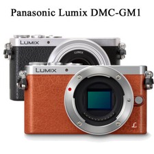 Panasonic Lumix DMC-GM1 16MP Mirrorless Digital Camera  Camera body only  