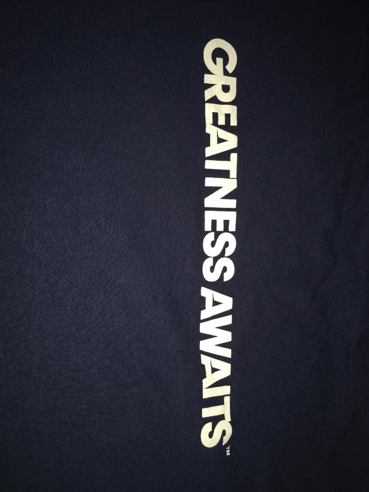 罕见复古 T 恤 Playstation 4 PS4 PS5 XL 2013 仅索尼促销衬衫 — 第 4/4 张图片