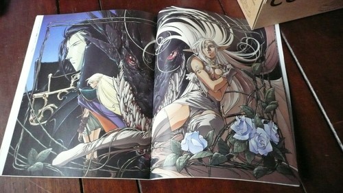 Legend Of Crystania Newtype 100% Collection Art Book Lodoss War 1995 - Imagen 6 de 8