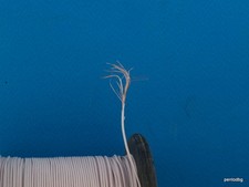 10m 33ft 0.35mm2 22AWG HIGH PURITY COPPER TEFLON PTFE WIRE USSR MILITARY