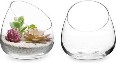 artificial succulent Echeveria Succulent Mix in Bowl | Faux Plants main image 0
