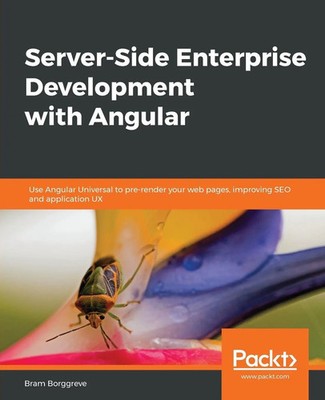 Server-Side Enterprise Development with Angular Bram Borggreve Taschenbuch 2018