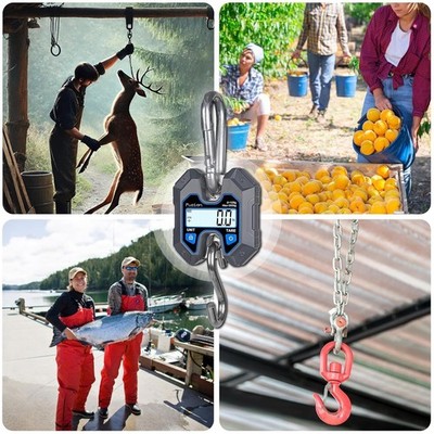 Mini Crane Scale Hanging Scale 440lb/200kg LCD Display Hold & Tare