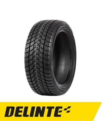 Delinte WD1 165/70 TR14 81T
