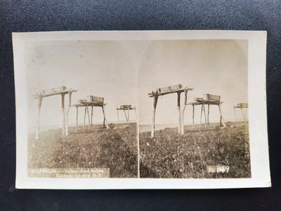 1900s Native American Burial Ground Dead Bodies Postcard Navajo Sioux Sky Burial