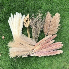 100Pcs Pampas Grass Boho Home Decor 17 Inch Natural Dried Flowers-Pampas Grass C
