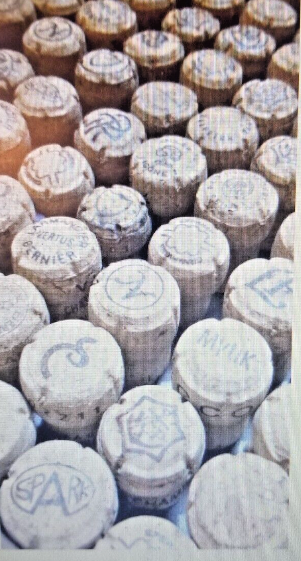 500 USED RECYCLED CHAMPAGNE CORKS eBay