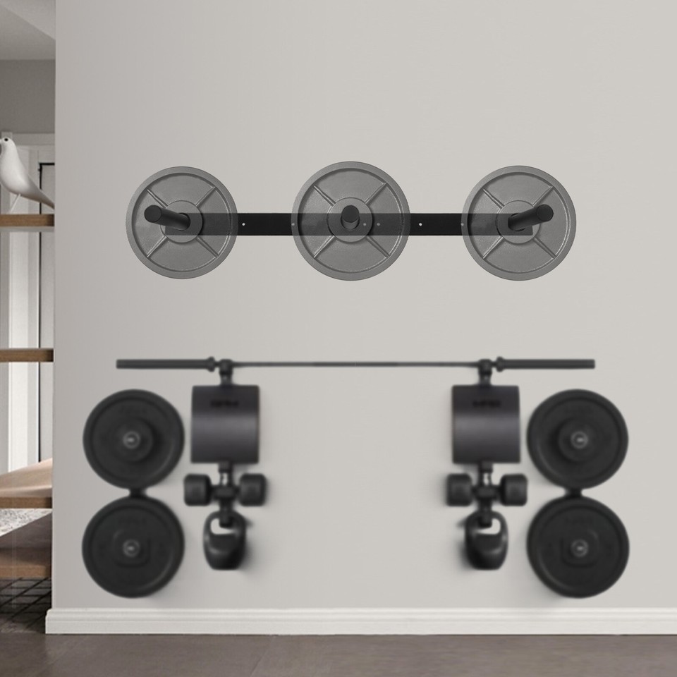 Weight Plate Storage Rack, Wall Mounted Holder, Bumper for Home Gym for