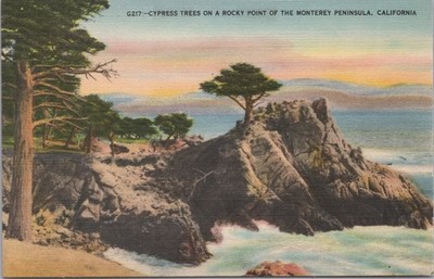 Monterey Peninsula CA Cypress Trees on a Rocky point