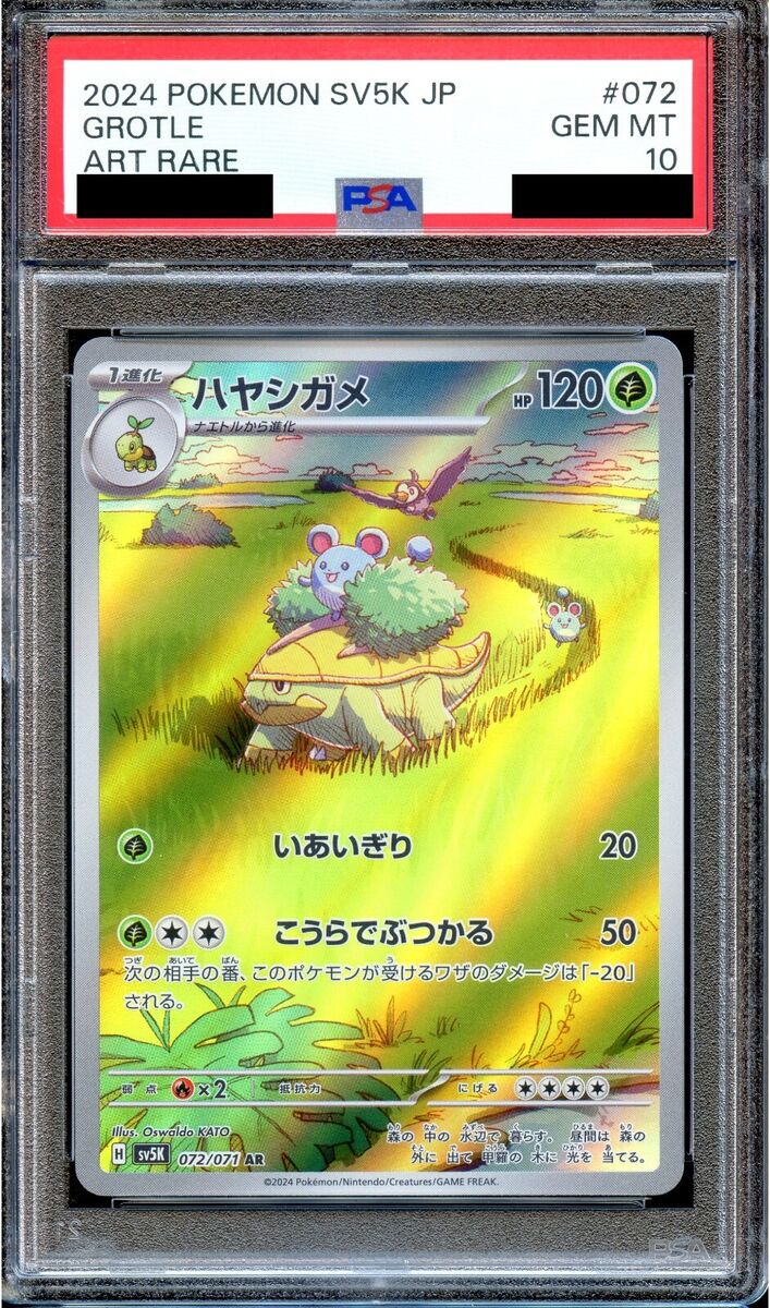 PSA 10 Grotle 072/071 SV5K AR Wild Force Japanese Pokemon PSA 10 Grotle 072/071 SV5K AR Wild Force Japanese Pokemon